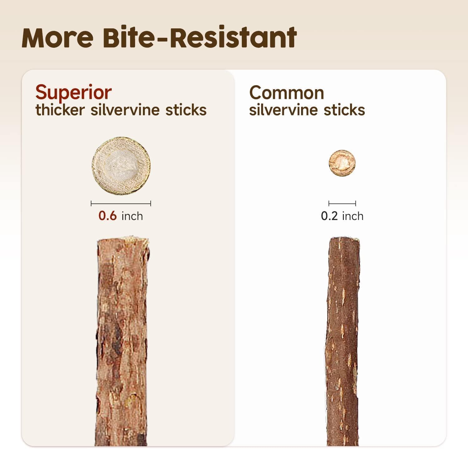 Cat Silvervine Chew Sticks, 3Pcs Natural Cat Teeth Nip Cleaning Catnip Toys for Indoor Cats Kitten Teething and Stress