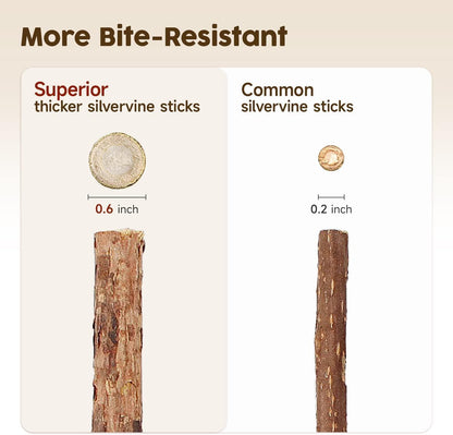 Cat Silvervine Chew Sticks, 3Pcs Natural Cat Teeth Nip Cleaning Catnip Toys for Indoor Cats Kitten Teething and Stress