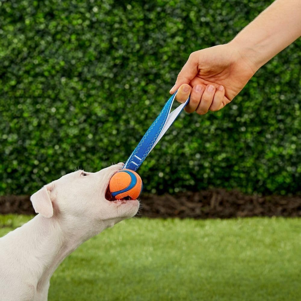 Ultra Tug Dog Toy with Rubber Ball Tug of War Interactive Fetch Toy for Dogs, Small