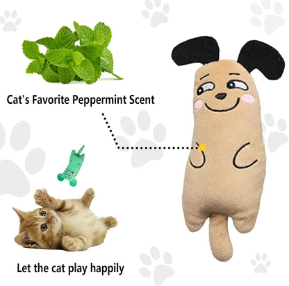 Catnip Toys, 3 Pack Interactive Teeth Cleaning Plush Toys for Indoor Cats and Kittens - Scratch Chewing Teeth Grinding Catnip Pillow
