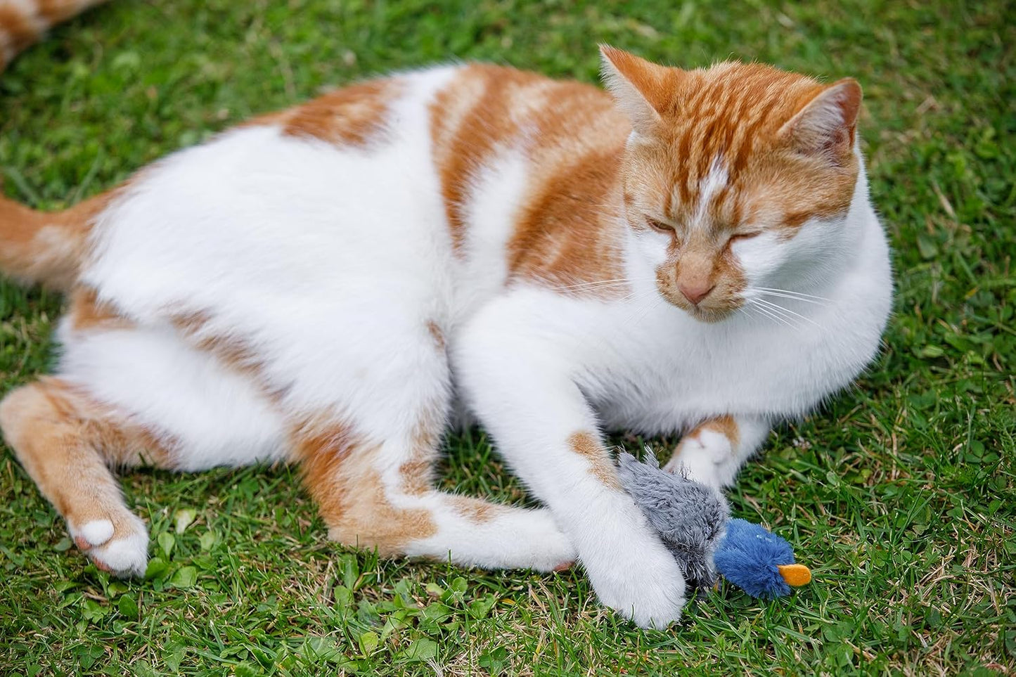 Dudley Duck Cat Toy