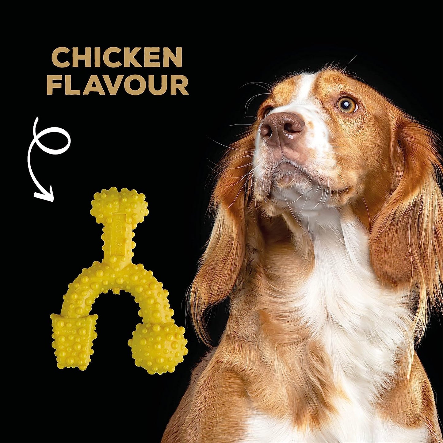 Tastybone Triobone Nylon Dog Chew Toy for Small Dogs (Chicken) - Indestructible for Aggressive Chewers, Everlasting Flavour, Strong Healthy Teeth, Made in the UK