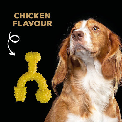 Tastybone Triobone Nylon Dog Chew Toy for Small Dogs (Chicken) - Indestructible for Aggressive Chewers, Everlasting Flavour, Strong Healthy Teeth, Made in the UK