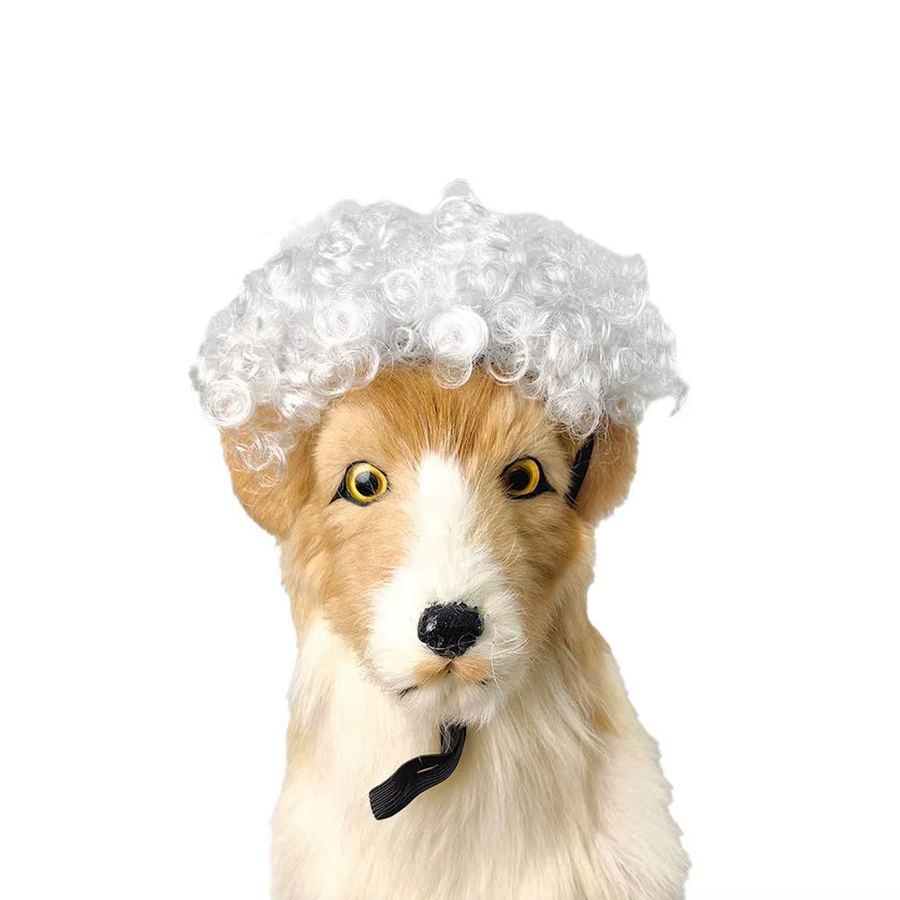 Creative Funny Pet Wig Adjustable Afro Design Dog Wig Elastic Band Design Cat Wig Pet Cosplay Props Photography Prank Gifts