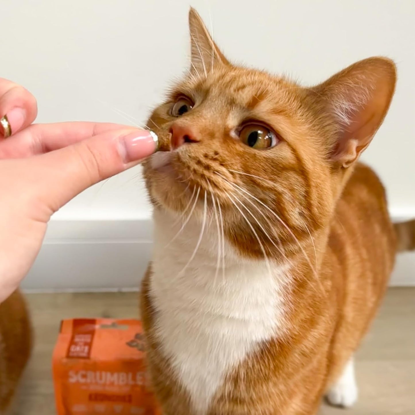 Scrumbles Chicken Krunchies, Pillow Cat Treats, 60G