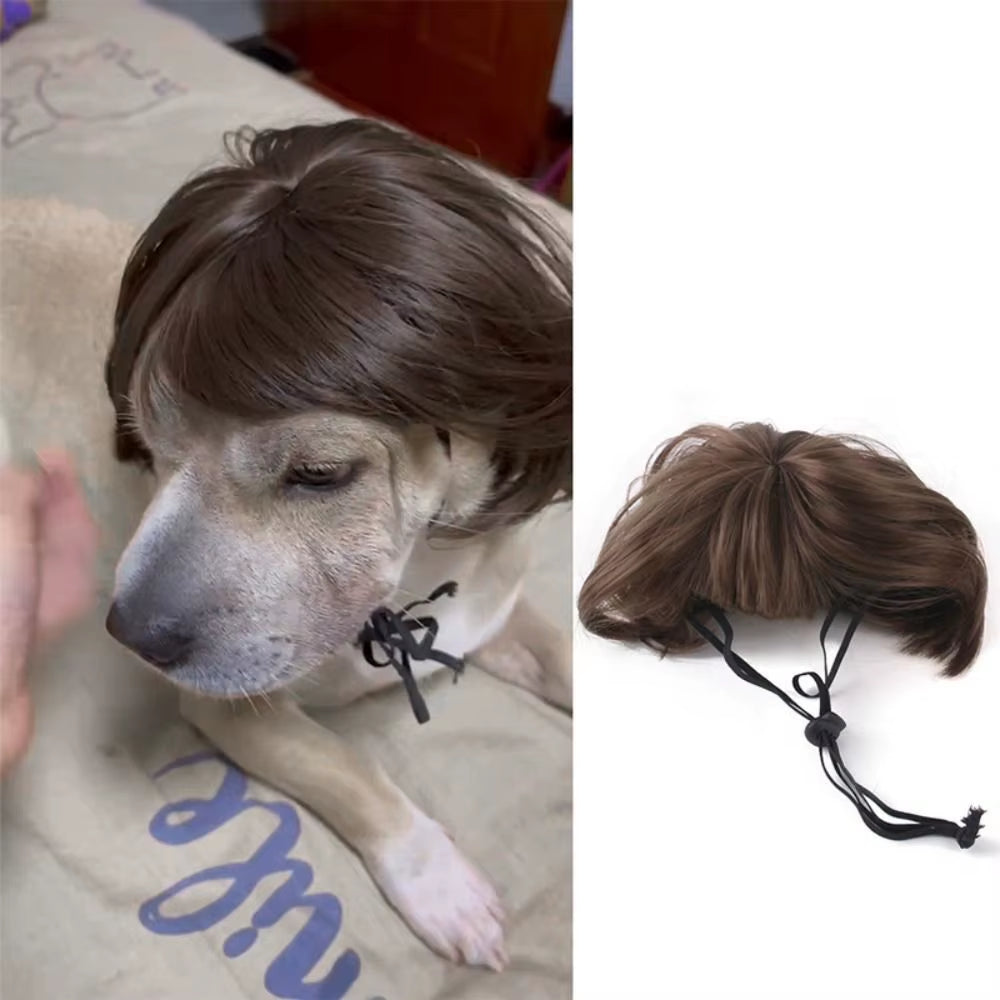 Cosplay Props Pet Wigs Head Accessories Photography Props Dog Cat Cross-Dressing Hair Prank Pet Supplies Wig Cap Hat Christmas
