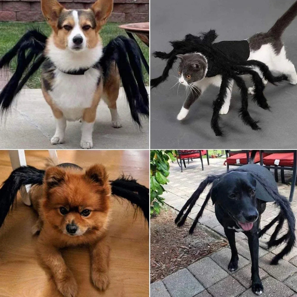 Halloween Spider Clothes for Pet Dog Cat Spider Costumes Dressing up Pet Clothes Pet Halloween Props Party Clothing Accessories