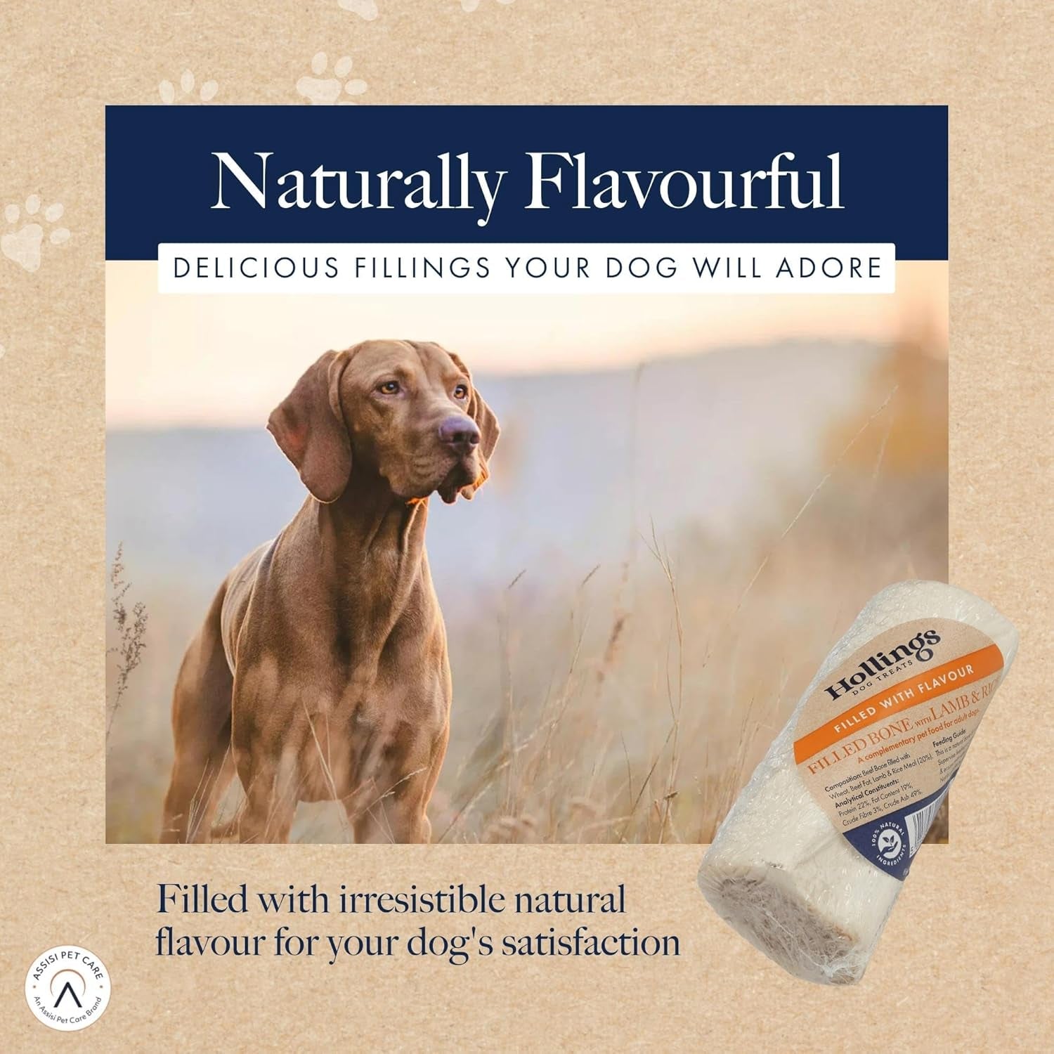 Filled Bone with Lamb & Rice Dog Chew, 100% Natural, Air Dried Long Lasting Bone for Adult Dogs, 1 Count