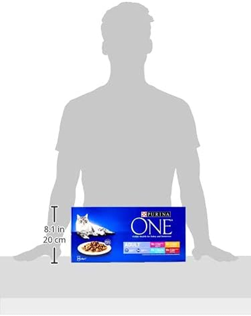 Adult Cat Food Mini Fillets in Gravy 40 X 85G