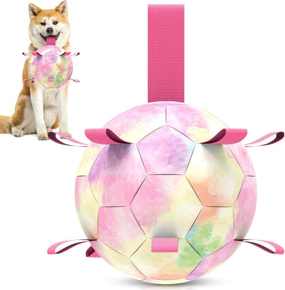Interactive Dog Football Toys with Webbing, Durable Dog Water Balls for Small Medium Breed, Indoor & Outdoor (5 Inch)