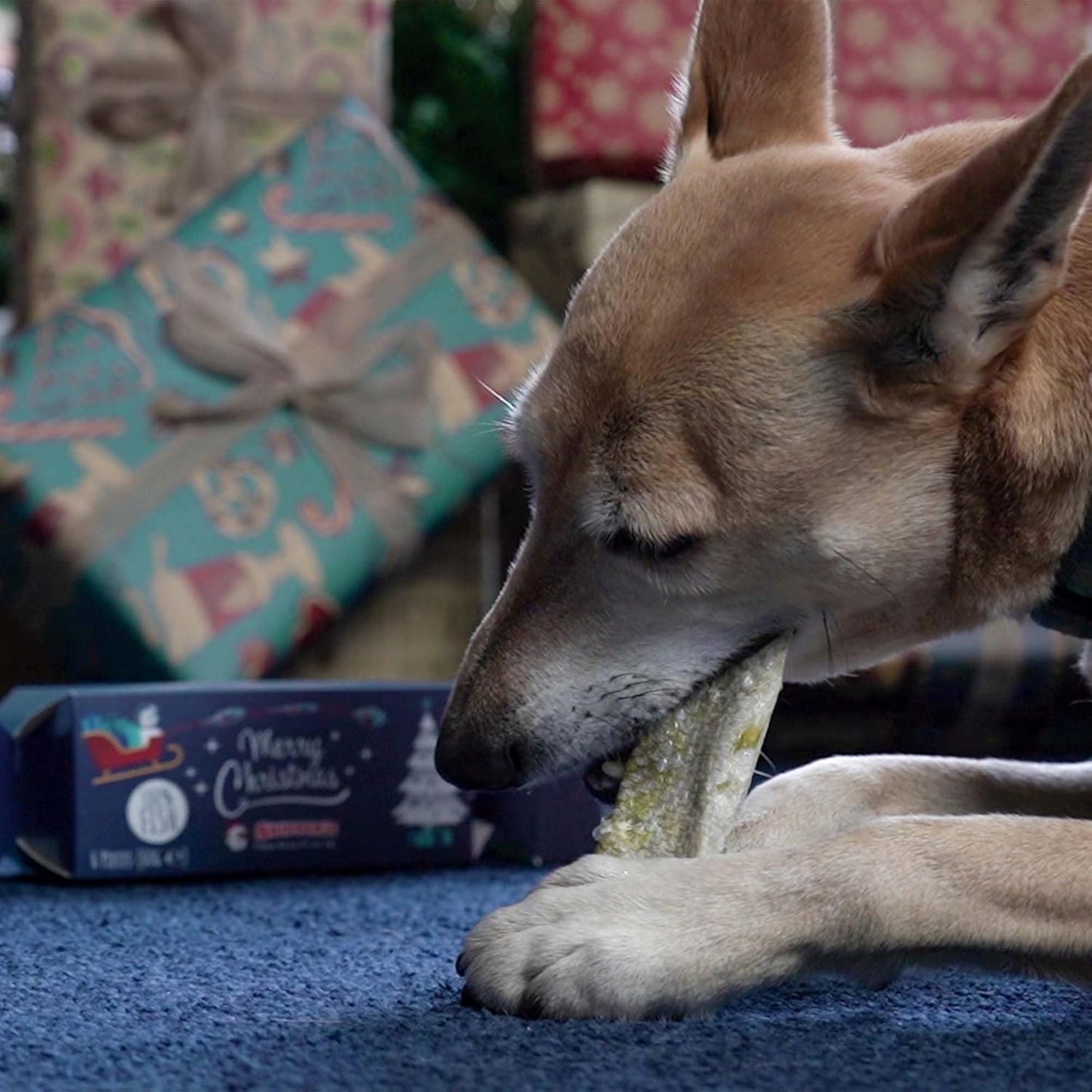 Christmas Crackers for Dogs - Contains White Fish Skin Flatties, Handmade & Air Dried Crackers Dog Treats, 100% Natural Long Lasting Dog Chews, High Protein Low Fat, Rich in Omega 3 | (60G)