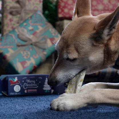 Christmas Crackers for Dogs - Contains White Fish Skin Flatties, Handmade & Air Dried Crackers Dog Treats, 100% Natural Long Lasting Dog Chews, High Protein Low Fat, Rich in Omega 3 | (60G)