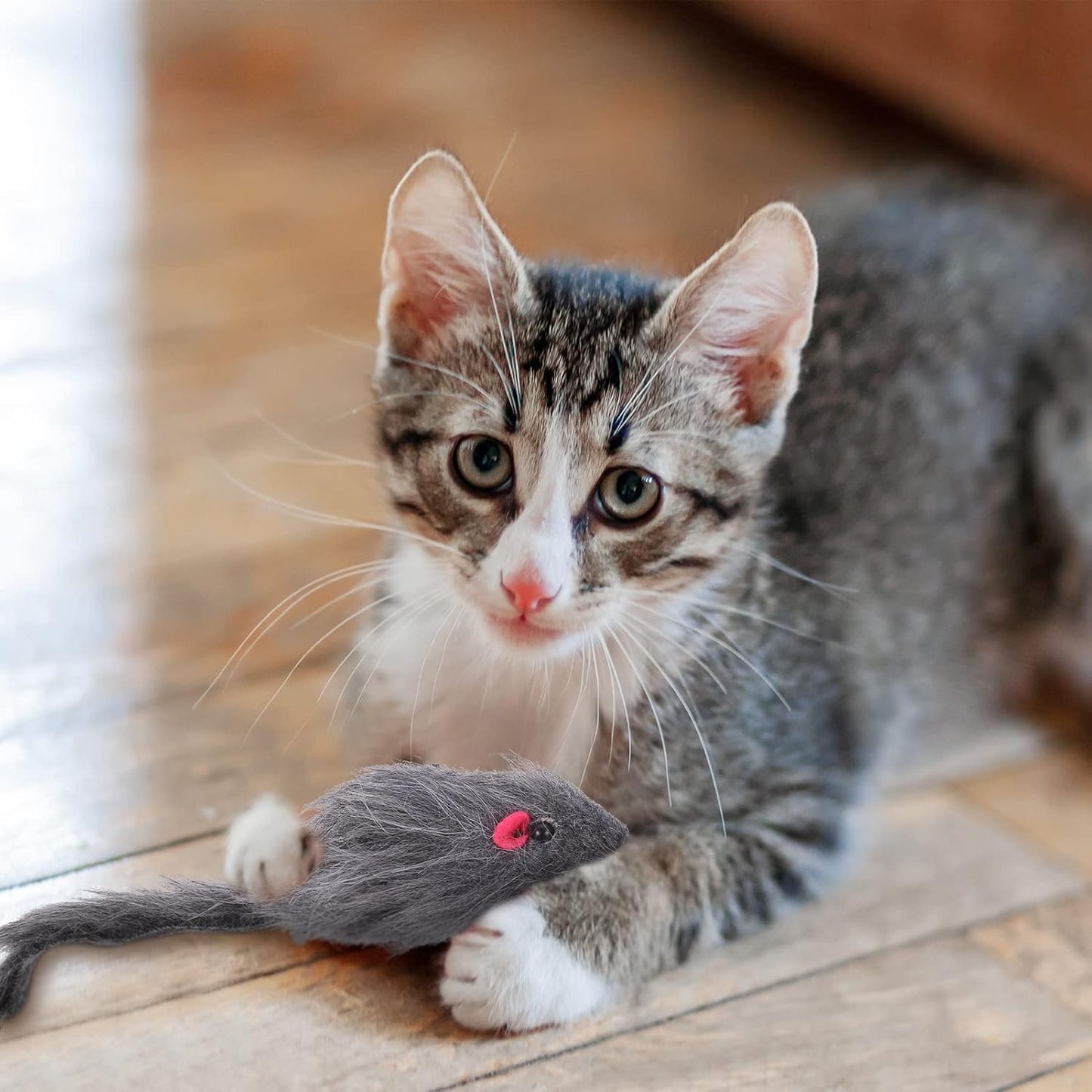 2 Packs Door Hanging Cat Toys - Interactive Mice Chasing Exercise Toys for Indoor Kitten