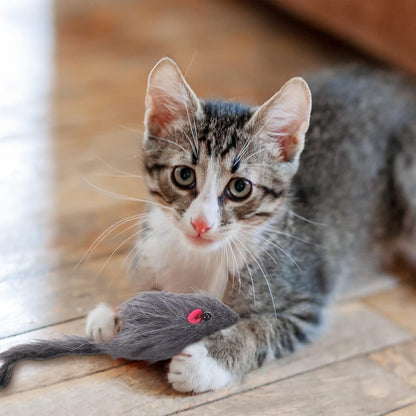2 Packs Door Hanging Cat Toys - Interactive Mice Chasing Exercise Toys for Indoor Kitten
