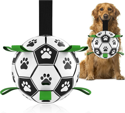 Interactive Dog Football Toys with Webbing, Durable Dog Water Balls for Small Medium Breed, Indoor & Outdoor (5 Inch)