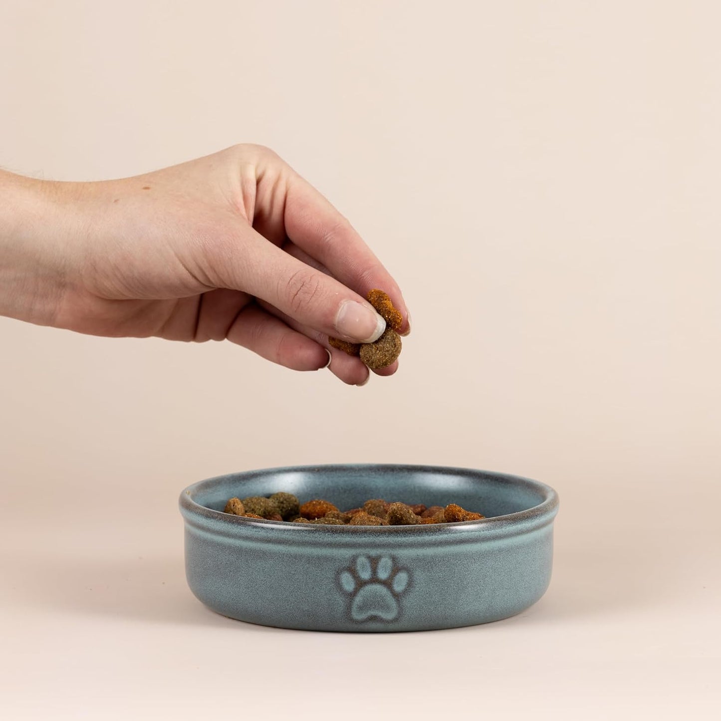 Reactive Paw Pet Bowl 