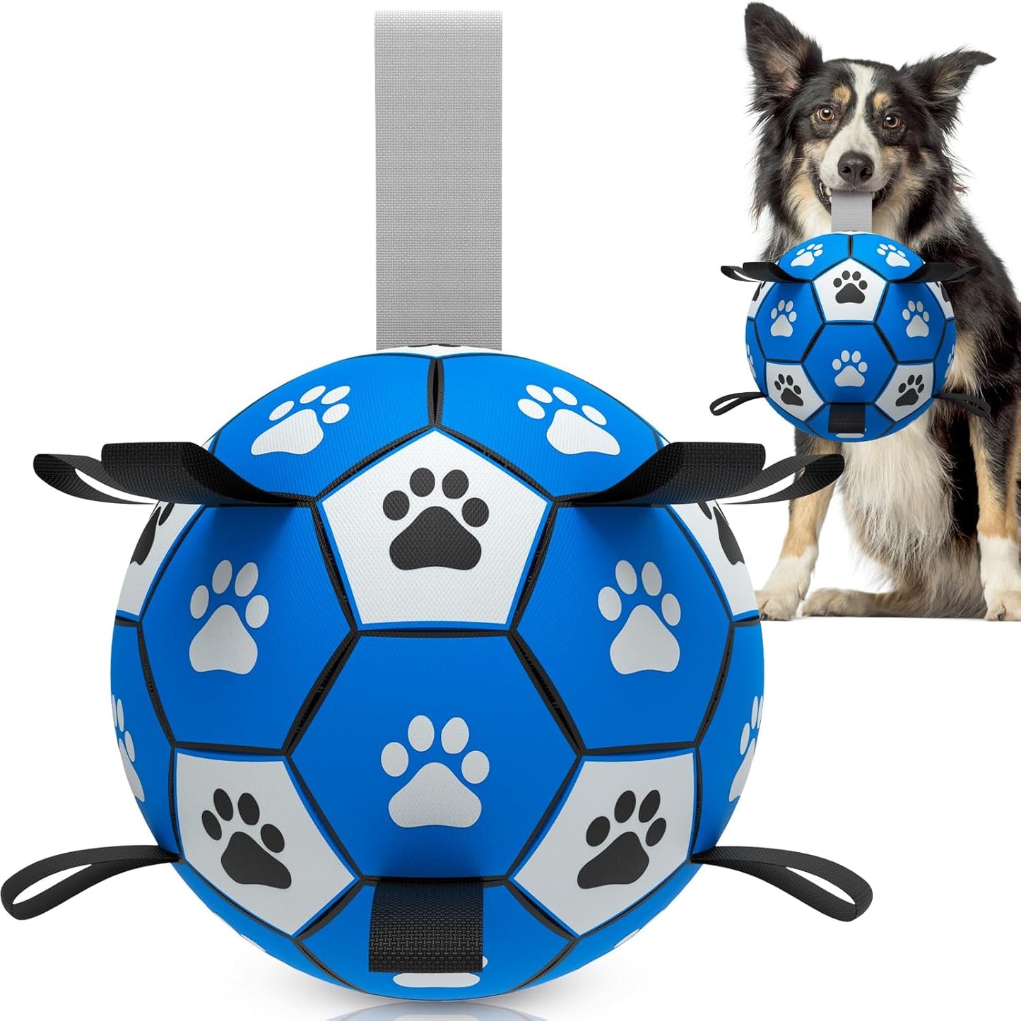 Interactive Dog Football Toys with Webbing, Durable Dog Water Balls for Small Medium Breed, Indoor & Outdoor (5 Inch)