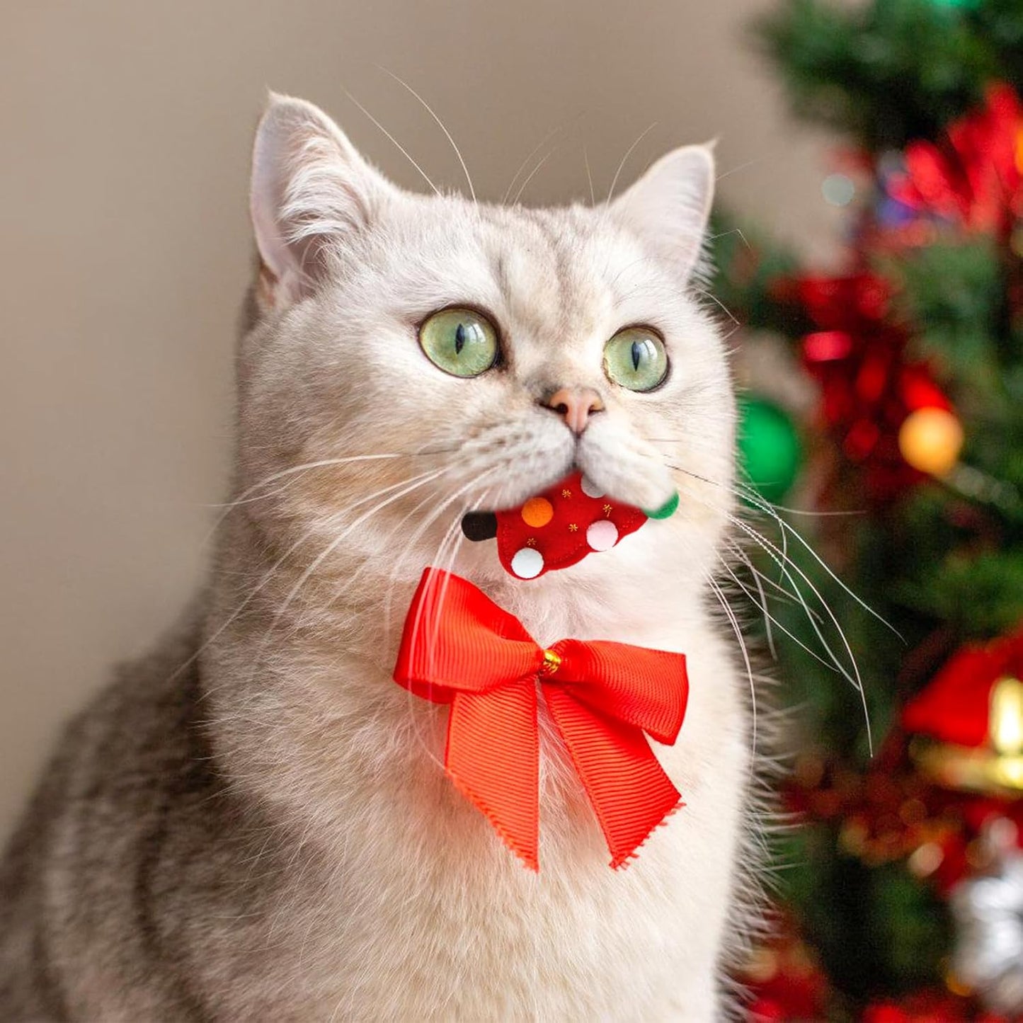 Pet Christmas Toys,5Pcs Cat Chew Bite Toy Kitten Teething Chew Toys Christmas Cat Teething Toy Santa Claus Interactive Cats Toys Elk Cat Toy Plush Xmas Cat Toy Supplies for Playing Training