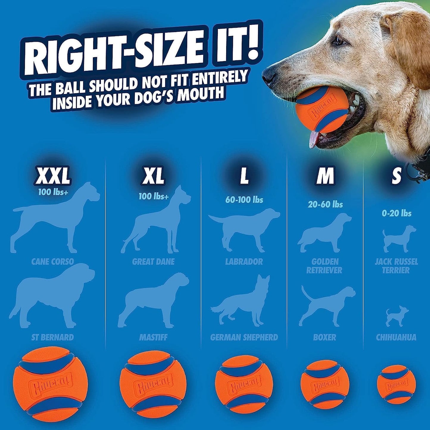 Ultra Tug Dog Toy with Rubber Ball Tug of War Interactive Fetch Toy for Dogs, Small
