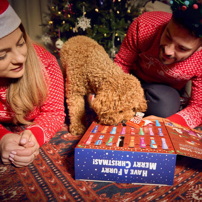 Jumbo Christmas Dog Advent Calendar 2025 - All Natural Christmas Dog Treats - 292G