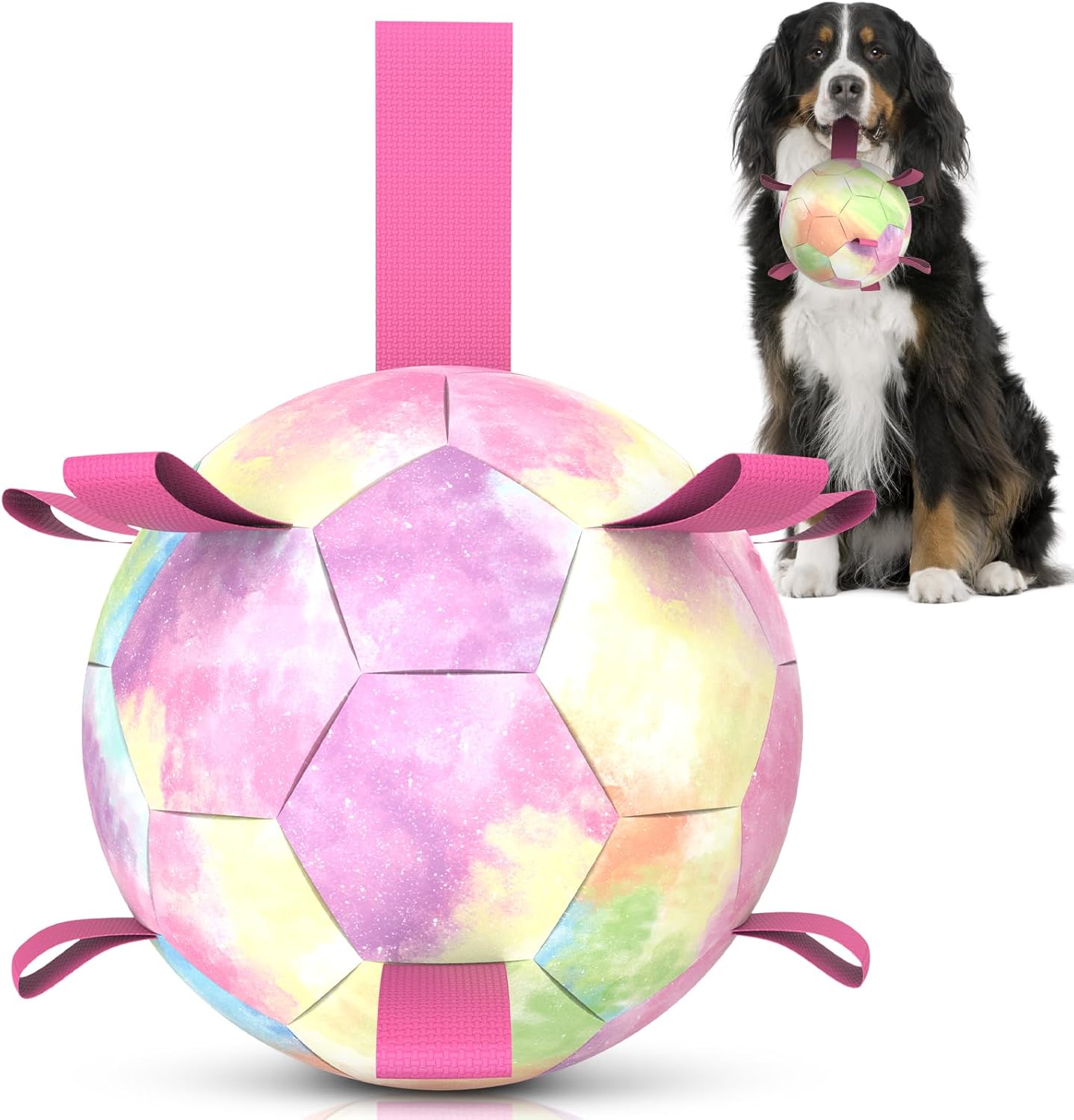 Interactive Dog Football Toys with Webbing, Durable Dog Water Balls for Small Medium Breed, Indoor & Outdoor (5 Inch)