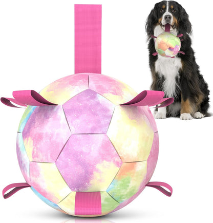 Interactive Dog Football Toys with Webbing, Durable Dog Water Balls for Small Medium Breed, Indoor & Outdoor (5 Inch)