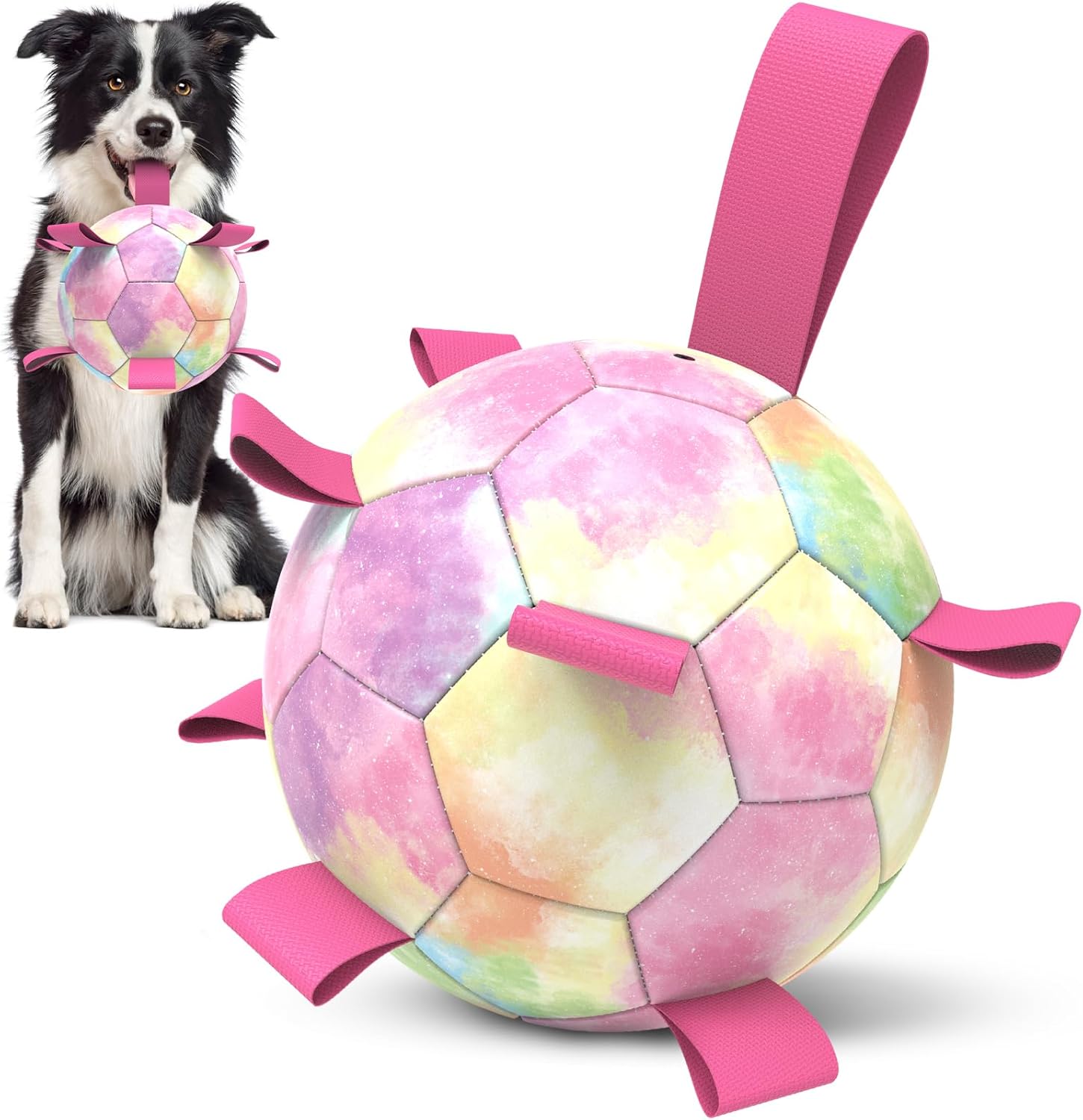 Interactive Dog Football Toys with Webbing, Durable Dog Water Balls for Small Medium Breed, Indoor & Outdoor (5 Inch)