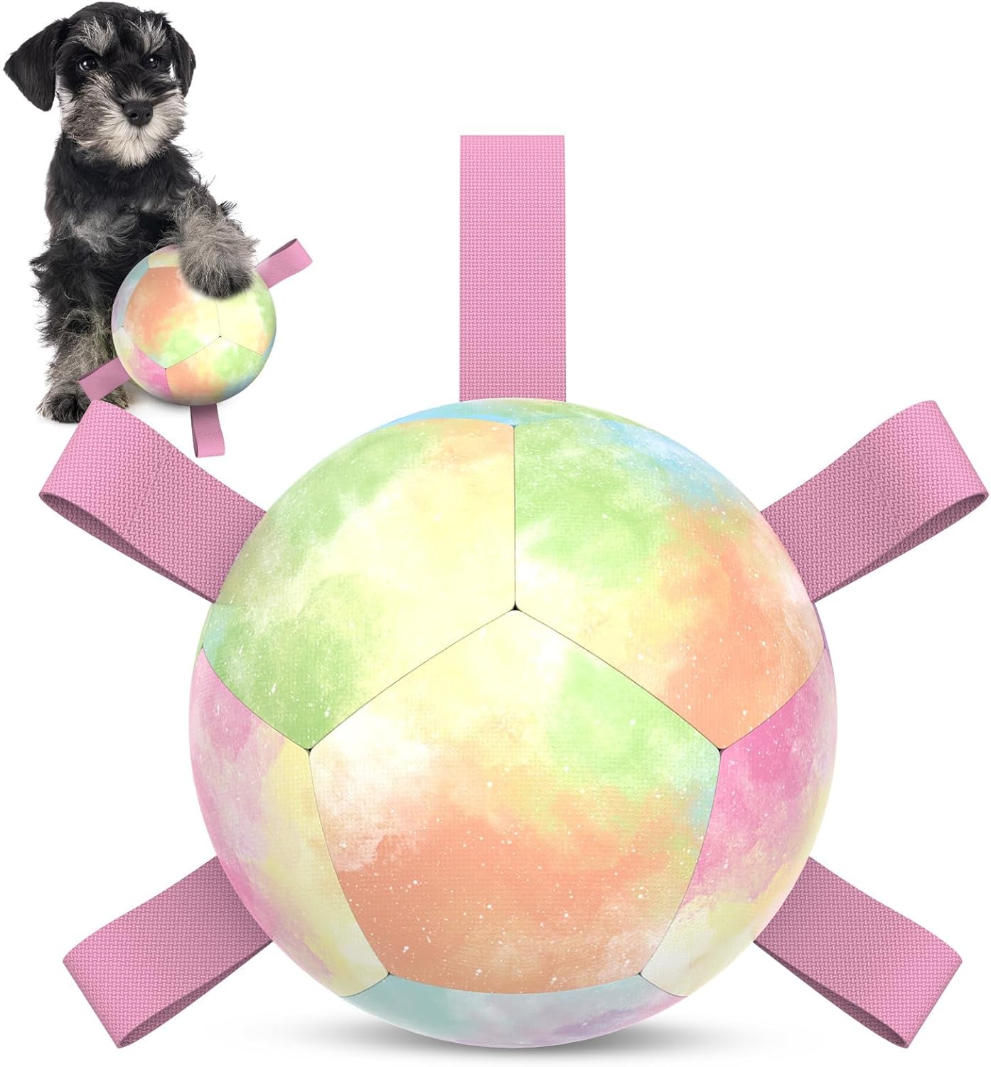 Interactive Dog Football Toys with Webbing, Durable Dog Water Balls for Small Medium Breed, Indoor & Outdoor (5 Inch)