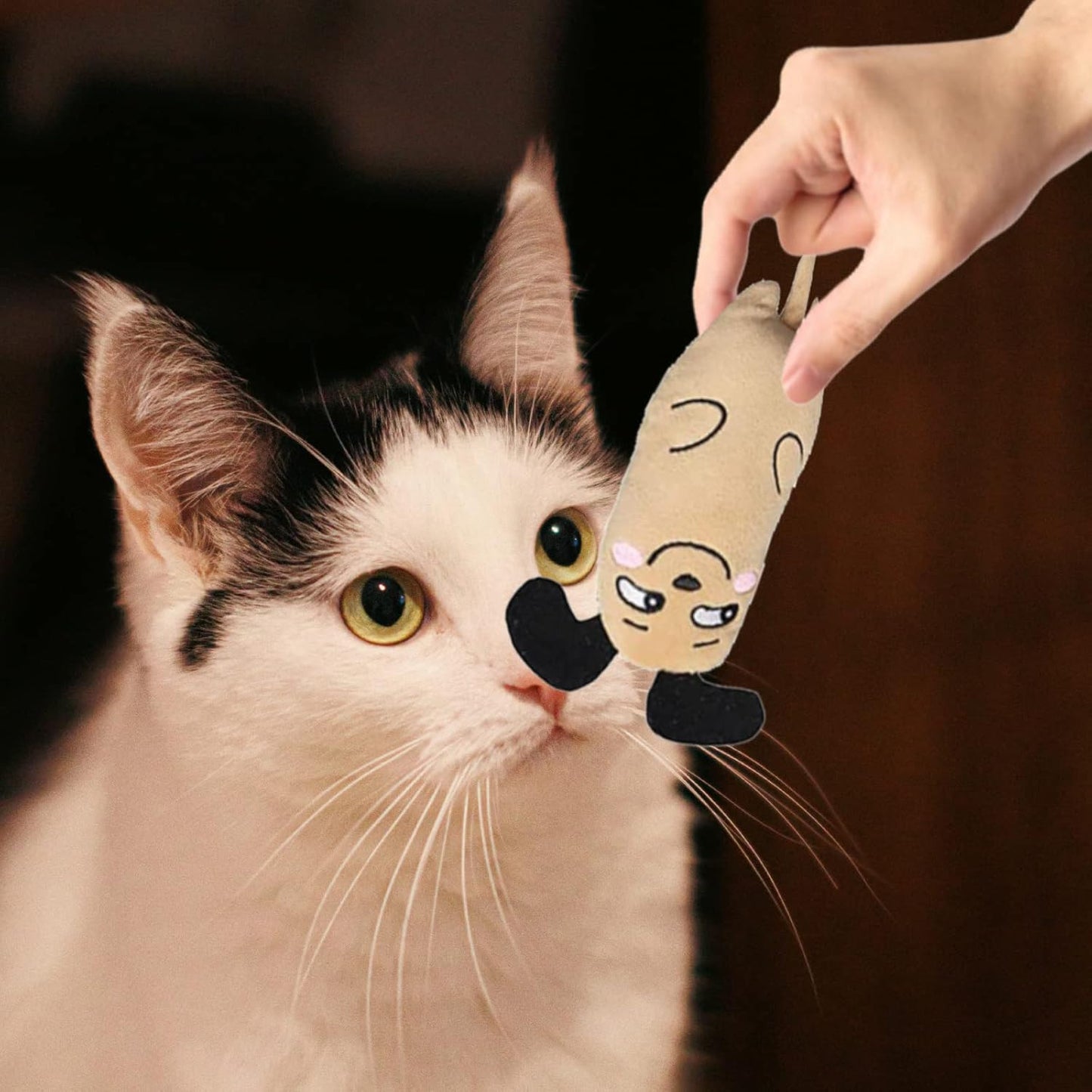 Catnip Toys, 3 Pack Interactive Teeth Cleaning Plush Toys for Indoor Cats and Kittens - Scratch Chewing Teeth Grinding Catnip Pillow