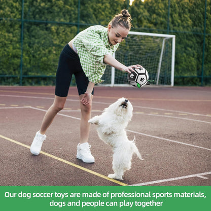 Interactive Dog Football Toys with Webbing, Durable Dog Water Balls for Small Medium Breed, Indoor & Outdoor (5 Inch)