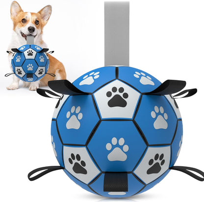 Interactive Dog Football Toys with Webbing, Durable Dog Water Balls for Small Medium Breed, Indoor & Outdoor (5 Inch)
