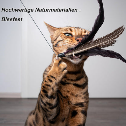 Cat Toys, Cat Feather Toys, Interactive Cat Teasers Wand Toys 6Pcs, Cat Toys for Indoor Cats Adult Kitten