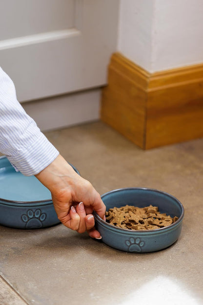Reactive Paw Pet Bowl 