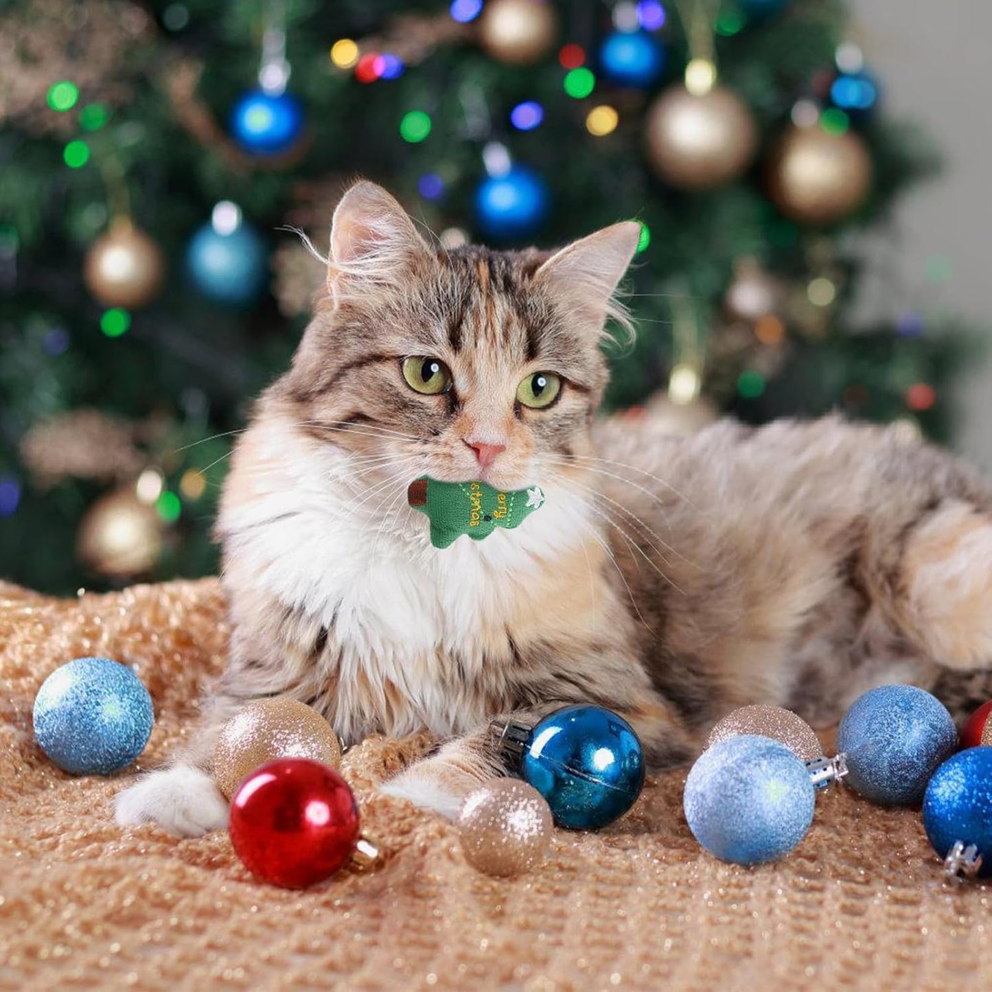 Pet Christmas Toys,5Pcs Cat Chew Bite Toy Kitten Teething Chew Toys Christmas Cat Teething Toy Santa Claus Interactive Cats Toys Elk Cat Toy Plush Xmas Cat Toy Supplies for Playing Training
