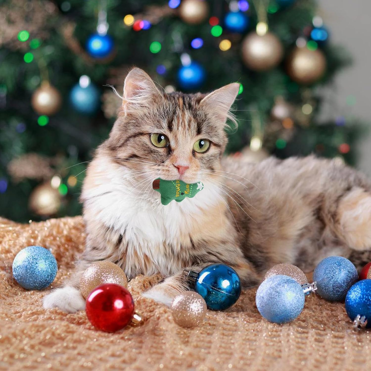 Pet Christmas Toys,5Pcs Cat Chew Bite Toy Kitten Teething Chew Toys Christmas Cat Teething Toy Santa Claus Interactive Cats Toys Elk Cat Toy Plush Xmas Cat Toy Supplies for Playing Training