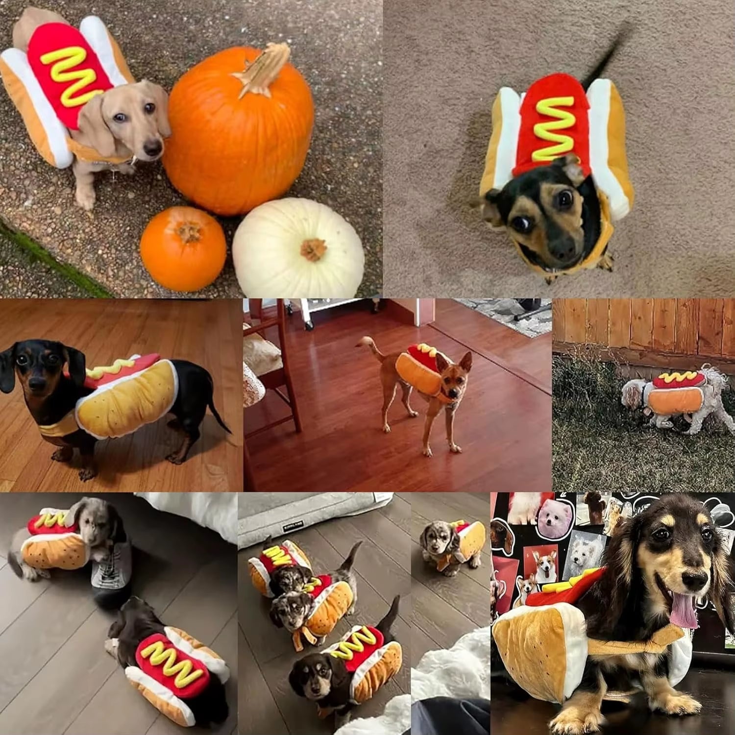 Funny Halloween Dog Costumes Hot Dog Shaped Dachshund Sausage Adjustable Clothes Pet Apparel Dressing up Cat Party Costume Suit