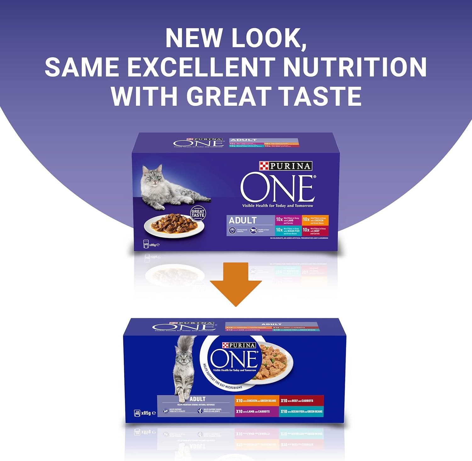 Adult Cat Food Mini Fillets in Gravy 40 X 85G