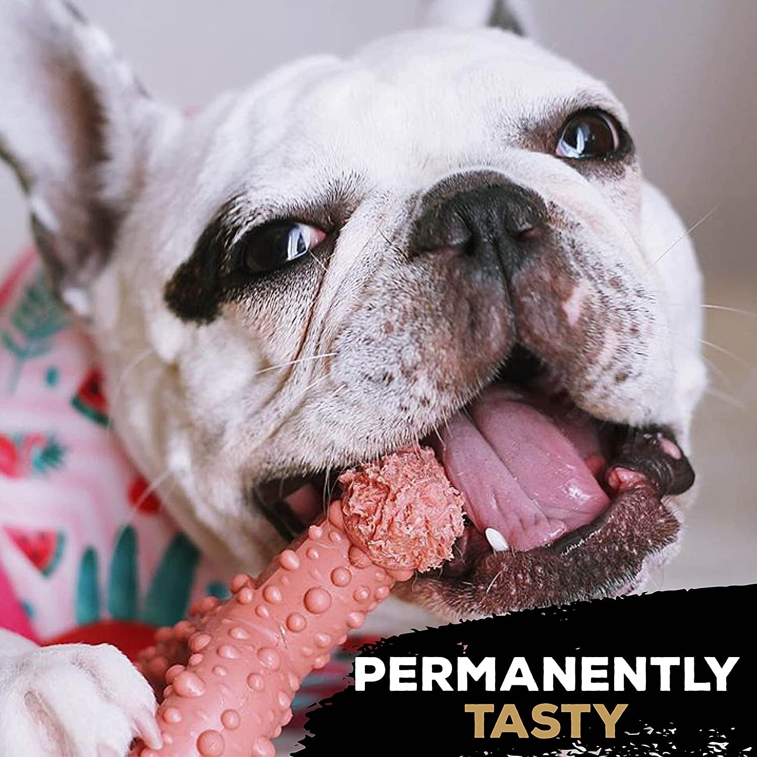 Tastybone Triobone Nylon Dog Chew Toy for Toy Dogs (Peanut Butter) - Indestructible for Aggressive Chewers, Everlasting Flavour, Strong Healthy Teeth, Made in the UK