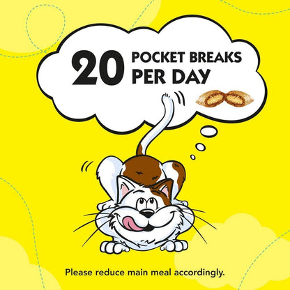 Dreamies Cat Treats - 12 X 60G - Multipack Biscuits - Variety Snack Box - 12 Pouches