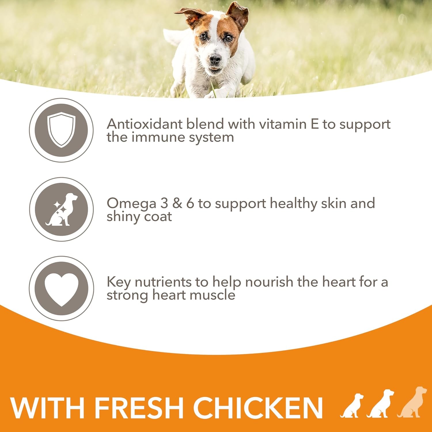 Adult Small Medium Dry Dog Food Chicken 3Kg