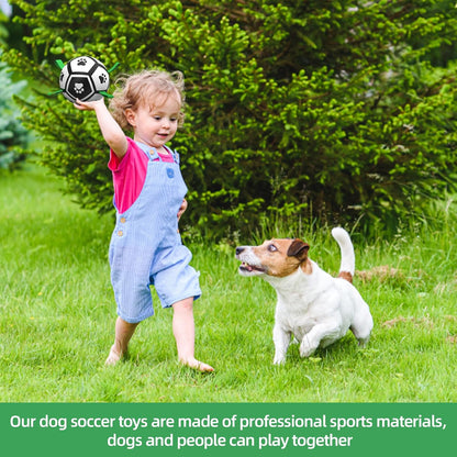 Interactive Dog Football Toys with Webbing, Durable Dog Water Balls for Small Medium Breed, Indoor & Outdoor (5 Inch)