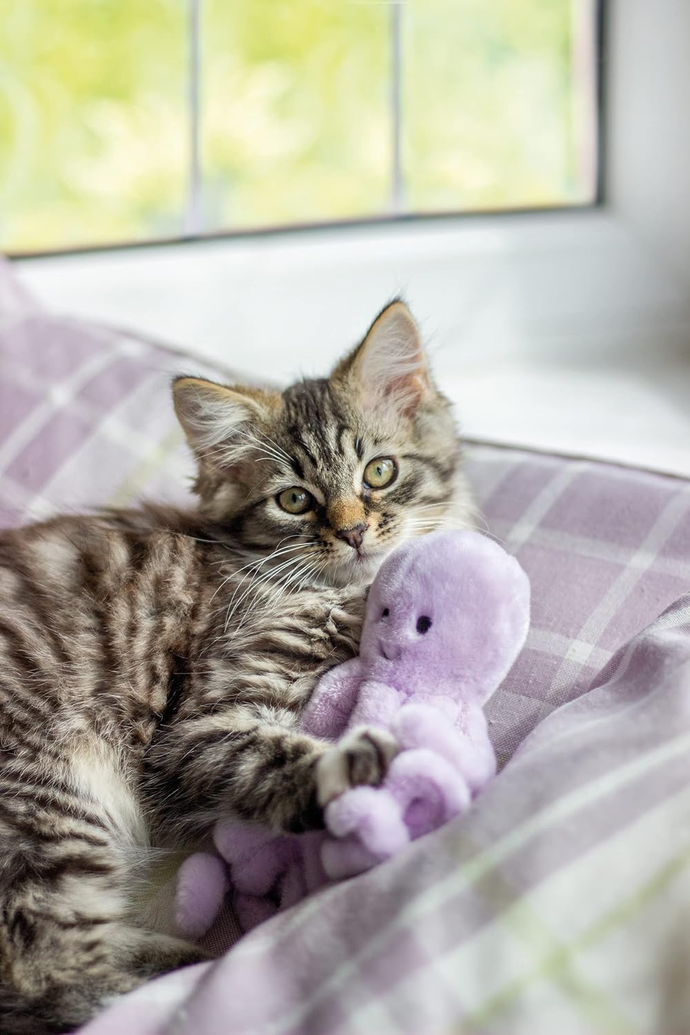 Jolly Moggy under the Sea Plush Octopus Cat Toy – Soft, Fun Catnip Toy for Cats and Kittens – Interactive Crinkle Sounds – Durable, Engaging Pet Toy – Safe, Non-Toxic