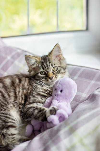 Jolly Moggy under the Sea Plush Octopus Cat Toy – Soft, Fun Catnip Toy for Cats and Kittens – Interactive Crinkle Sounds – Durable, Engaging Pet Toy – Safe, Non-Toxic