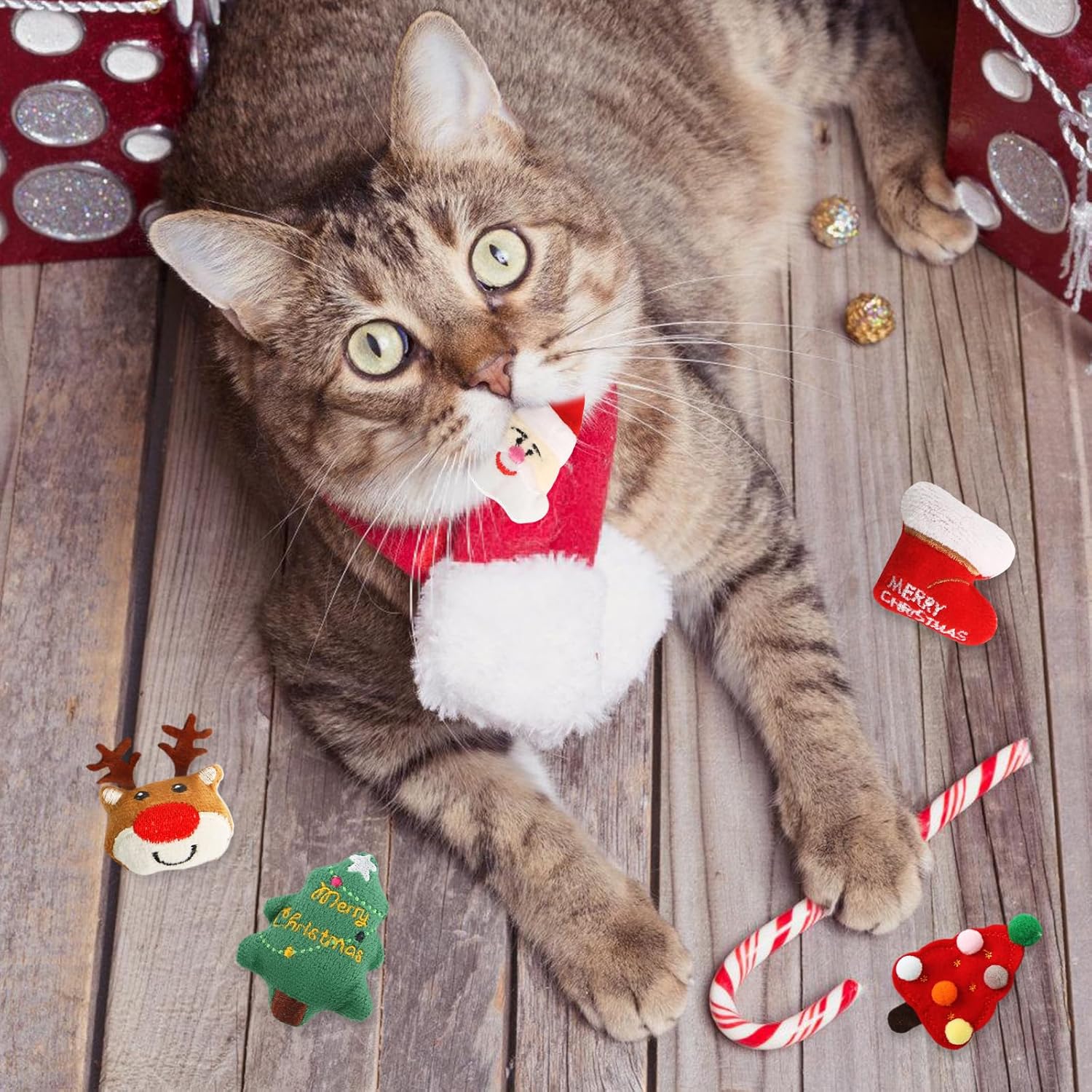 Pet Christmas Toys,5Pcs Cat Chew Bite Toy Kitten Teething Chew Toys Christmas Cat Teething Toy Santa Claus Interactive Cats Toys Elk Cat Toy Plush Xmas Cat Toy Supplies for Playing Training