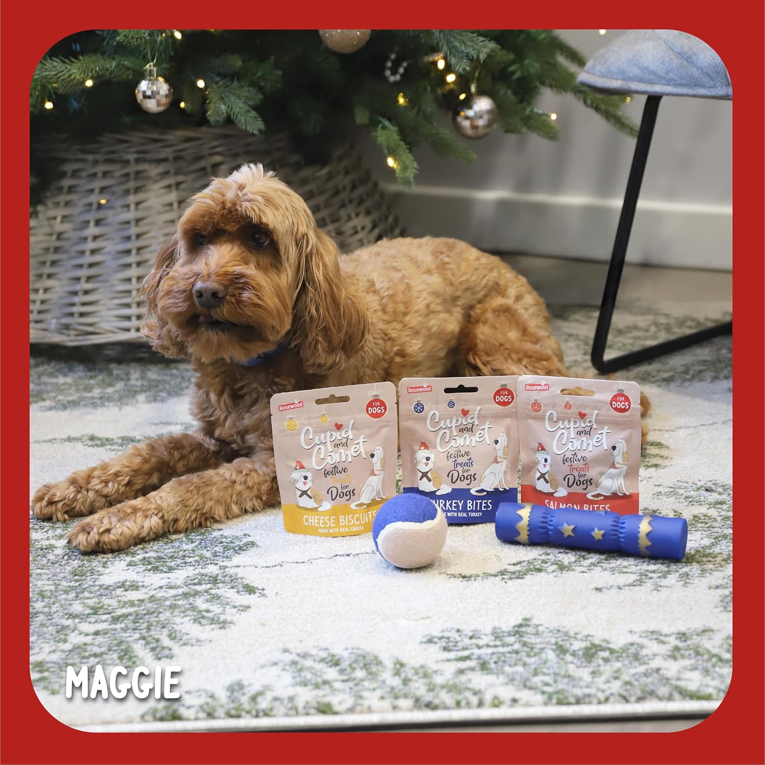 Cupid & Comet Christmas Dinner & Toys Stocking Gift, Dog Treats (Pack of 2)