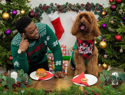 Dog Christmas Bandana, Pet Kerchief Scarf Triangle Bibs Washable for Holiday Festival Theme Party - Cat and Dog (Red)