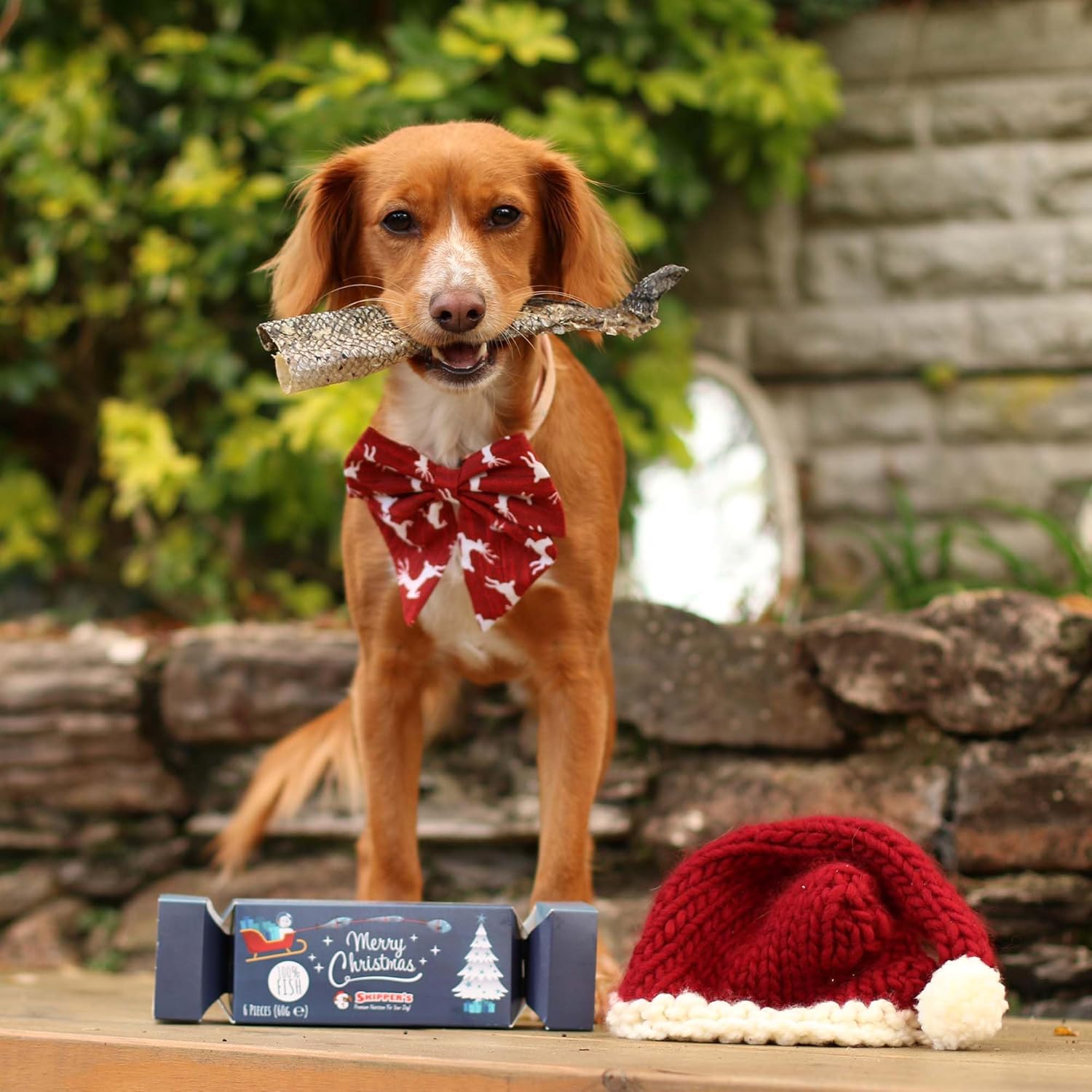 Christmas Crackers for Dogs - Contains White Fish Skin Flatties, Handmade & Air Dried Crackers Dog Treats, 100% Natural Long Lasting Dog Chews, High Protein Low Fat, Rich in Omega 3 | (60G)