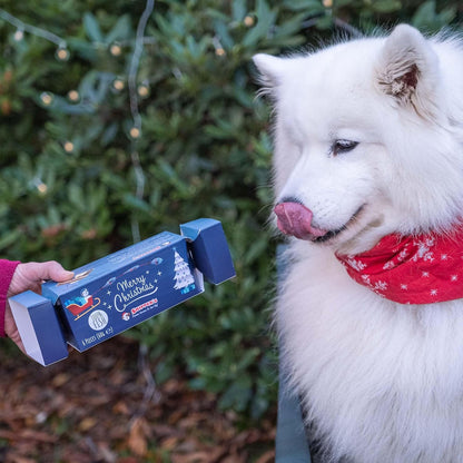 Christmas Crackers for Dogs - Contains White Fish Skin Flatties, Handmade & Air Dried Crackers Dog Treats, 100% Natural Long Lasting Dog Chews, High Protein Low Fat, Rich in Omega 3 | (60G)
