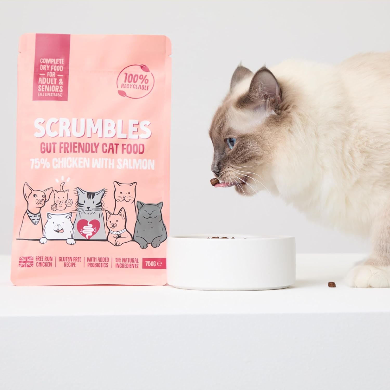 Scrumbles All Natural Dry Cat Food with 75% Chicken and Fresh Salmon, High Protein Food for Adults and Seniors, 750 G