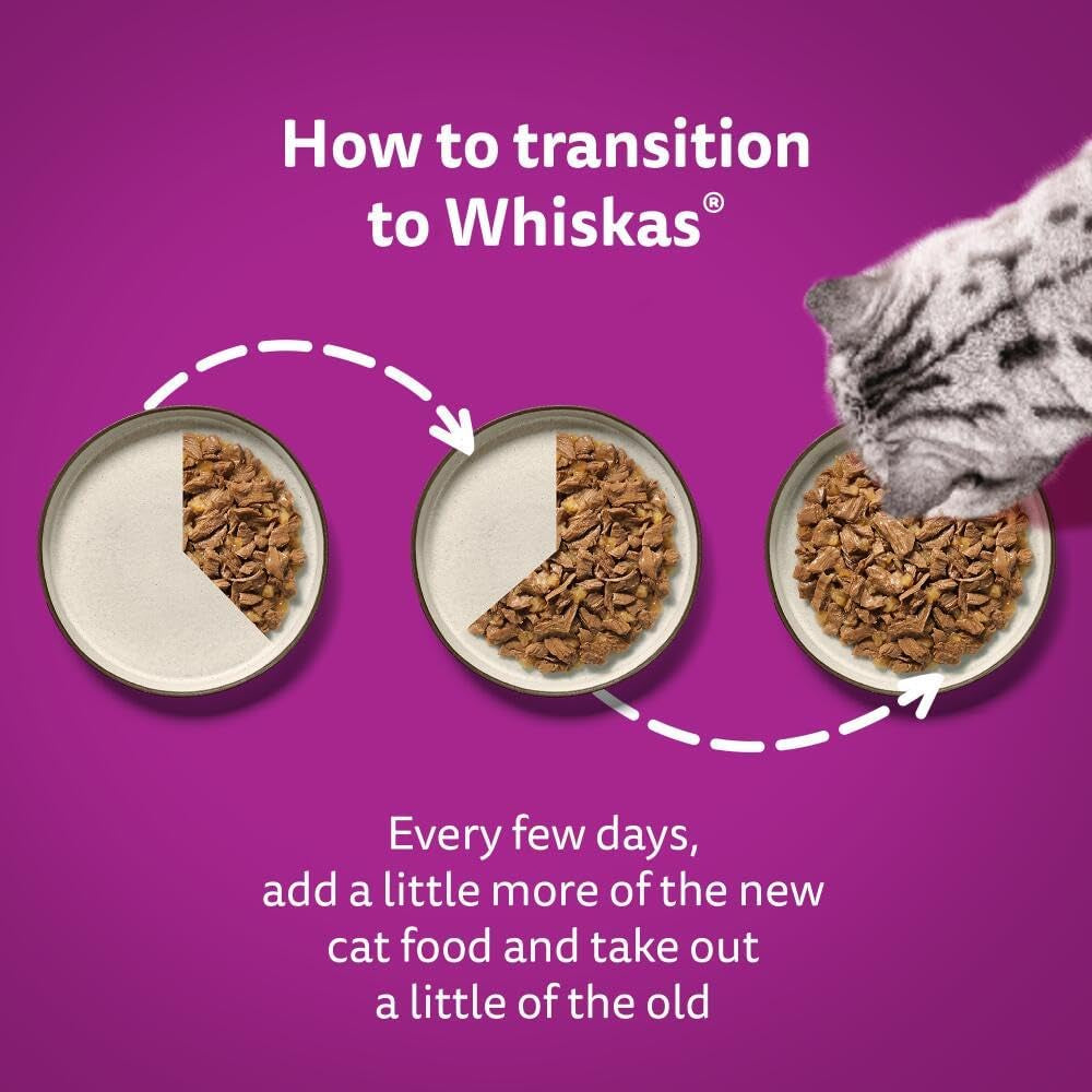 Wishkas  1+ Adult Wet Cat Food Pouches - 40 X 85 G - Poultry Selection - Bulk Cat Food Megapack - 40 Jelly Pouches